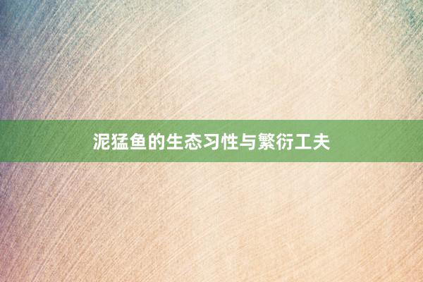 泥猛鱼的生态习性与繁衍工夫